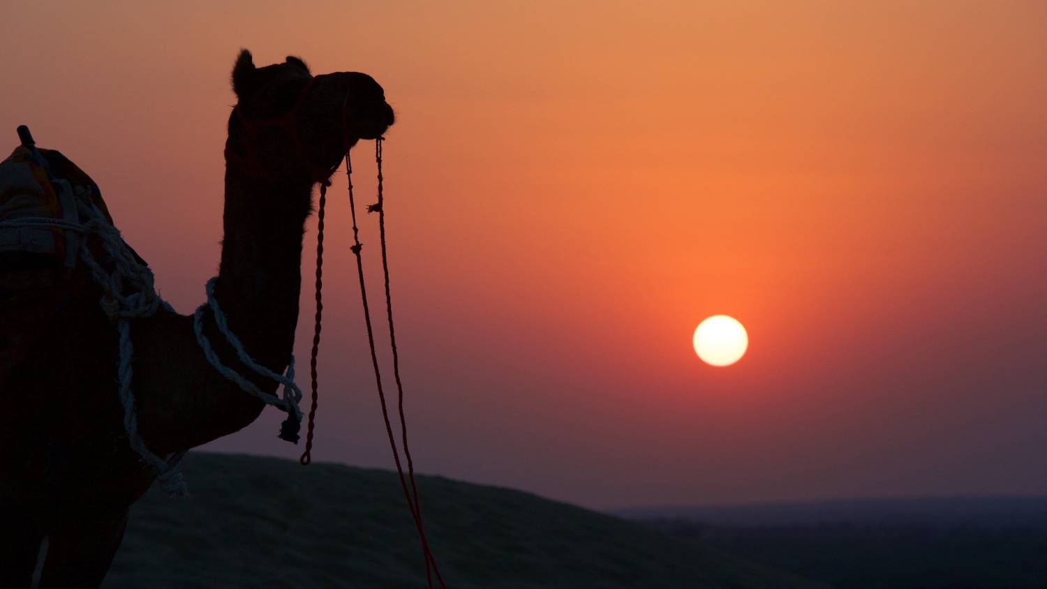 1-night-2-days-itinerary-khuri-dunes-sunset