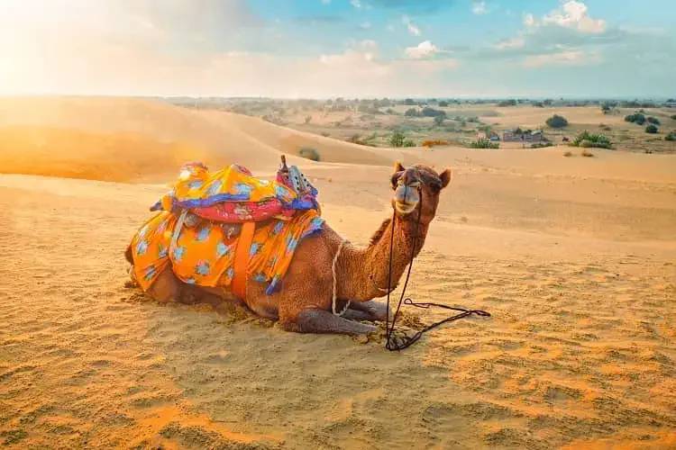desert-safari-in-jaisalmer-khuri-dunes